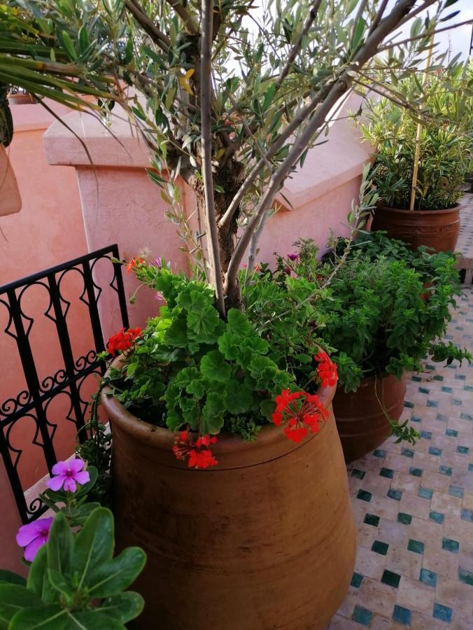 Riad Aventurine Marrakesh Esterno foto